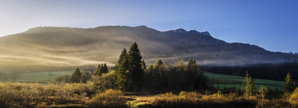 The Historical Arbaeen Walk and My Memories&nbsp;(1)